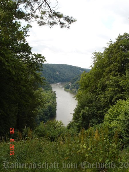 Blick auf die Donau.jpg -                                